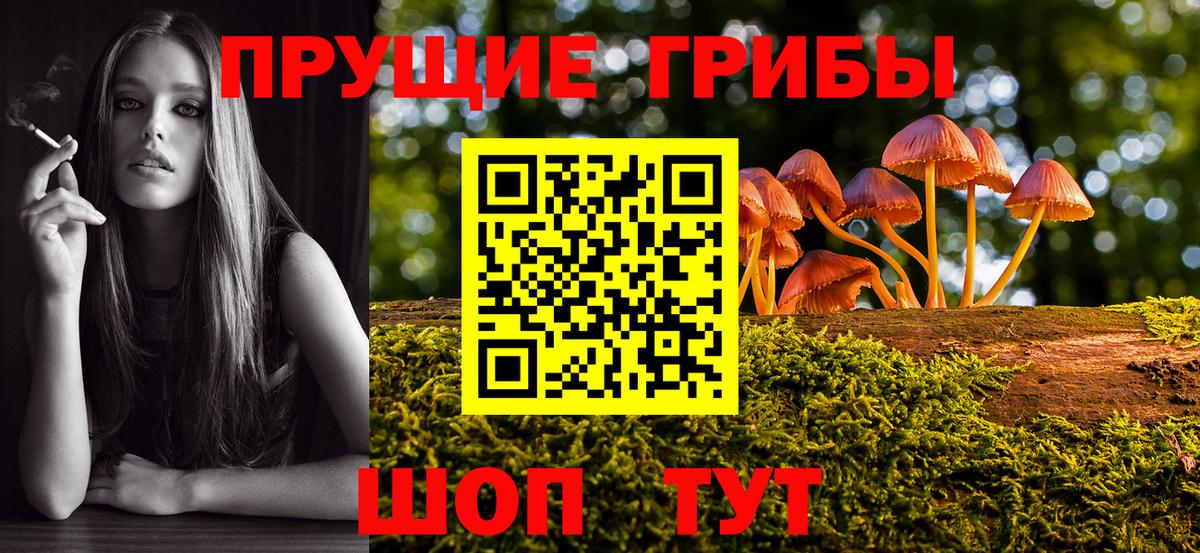 Магадан  что такое наркотик  Вход с VPN  Галлюциногенные грибы мицелий  Галлюциногенные грибы Cubensis 